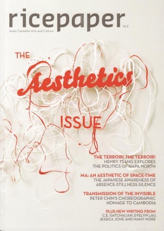 14.2 - The Aesthetics Issue