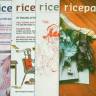 Ricepaper 1 Year Subscription - Institutional